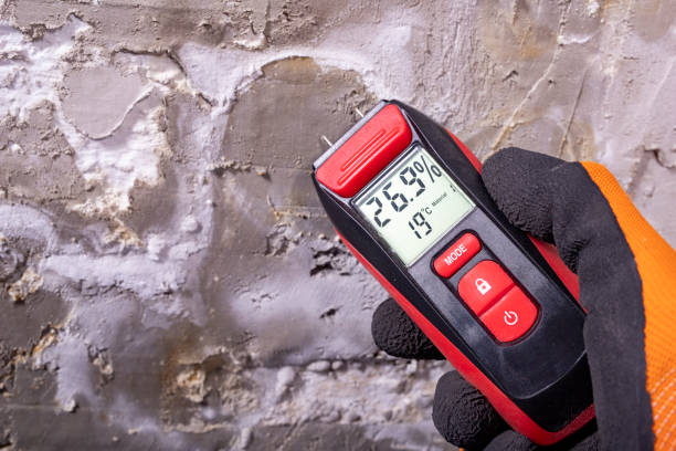 Best Basement Mold Remediation in Channahon, IL