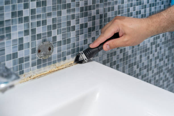 Channahon, IL Mold Remediation Company