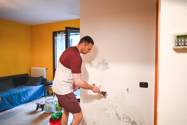 Best Insurance-Related Mold Remediation in Channahon, IL